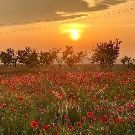 Pusztafarm Boutique Countryside Retreat With Wellness 6 To 8 Guests