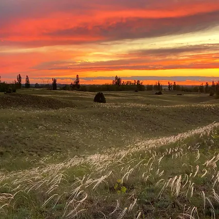 Pusztafarm Boutique Countryside Retreat With Wellness 6 To 8 Guests בית חווה *