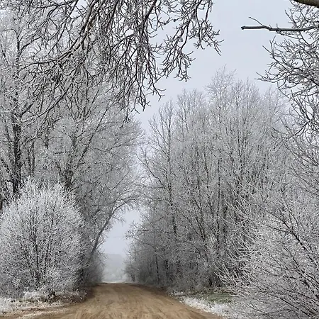 Pusztafarm Boutique Countryside Retreat With Wellness 6 To 8 Guests בית חווה