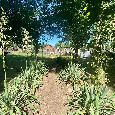 Pusztafarm Boutique Countryside Retreat With Wellness 6 To 8 Guests *