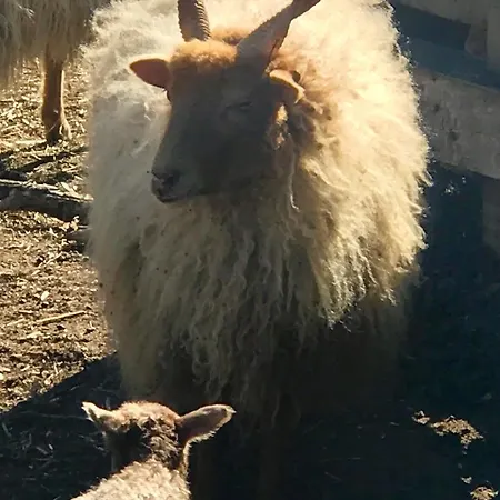 בית חווה Pusztafarm Boutique Countryside Retreat With Wellness 6 To 8 Guests