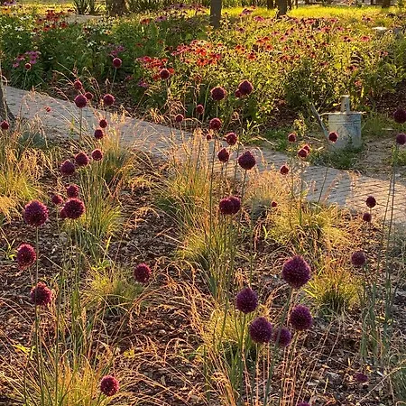 Pusztafarm Boutique Countryside Retreat With Wellness 6 To 8 Guests Fulophaza