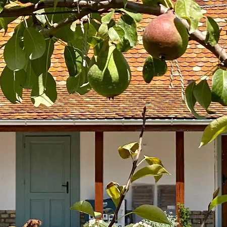 Pusztafarm - Boutique Retreat With Wellness 6 To 8 Guests Fulophaza