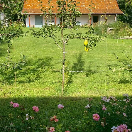 Pusztafarm - Boutique Retreat With Wellness 6 To 8 Guests *