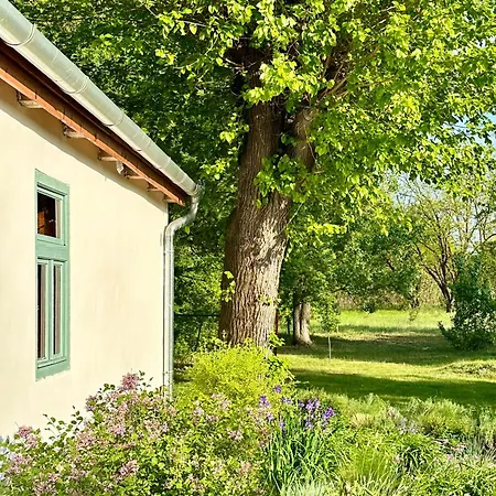 Pusztafarm - Boutique Retreat With Wellness 6 To 8 Guests * Fulophaza