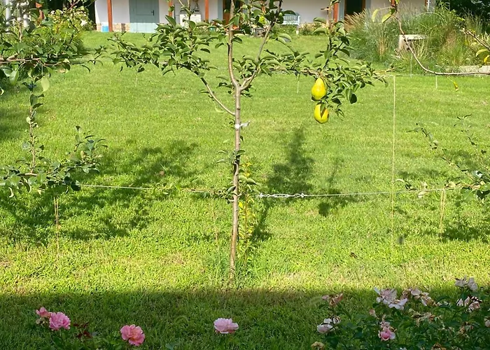Pusztafarm - Boutique Retreat With Wellness 6 To 8 Guests *